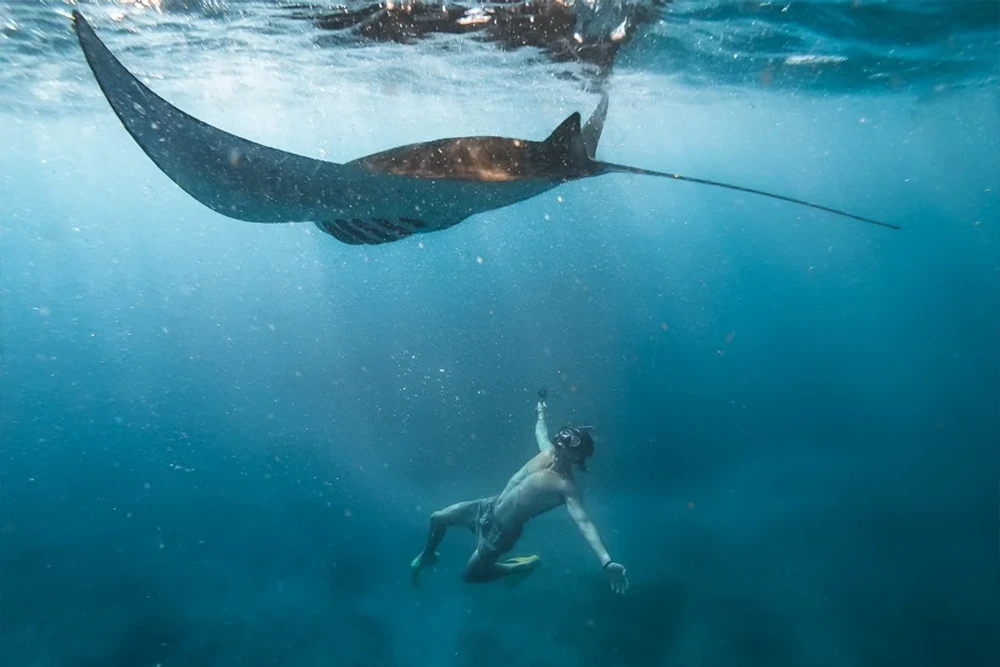 Snorkeling with manta rays in Nusa Penida