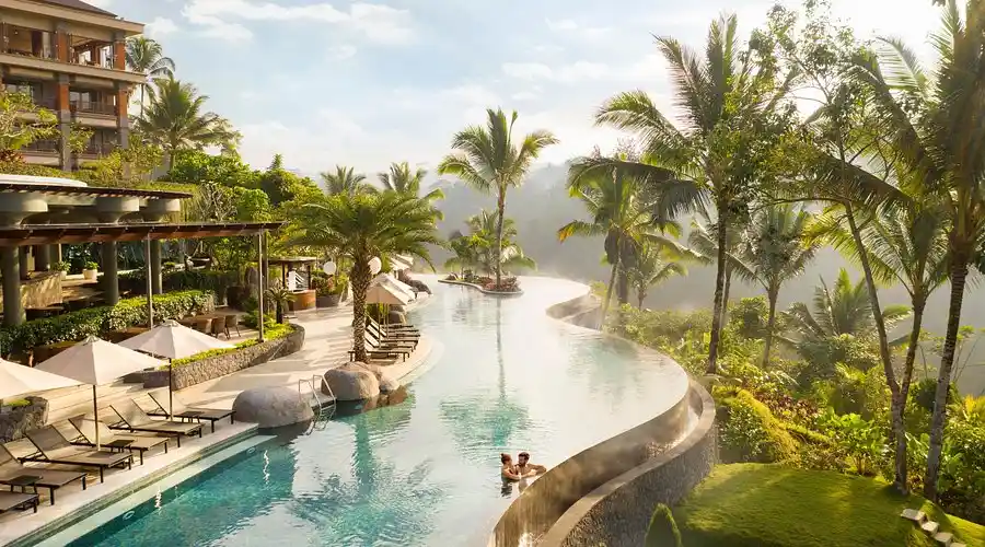 Infinity pool overlooking jungle valley at Padma Resort Ubud, a luxury resort in North Ubud Bali