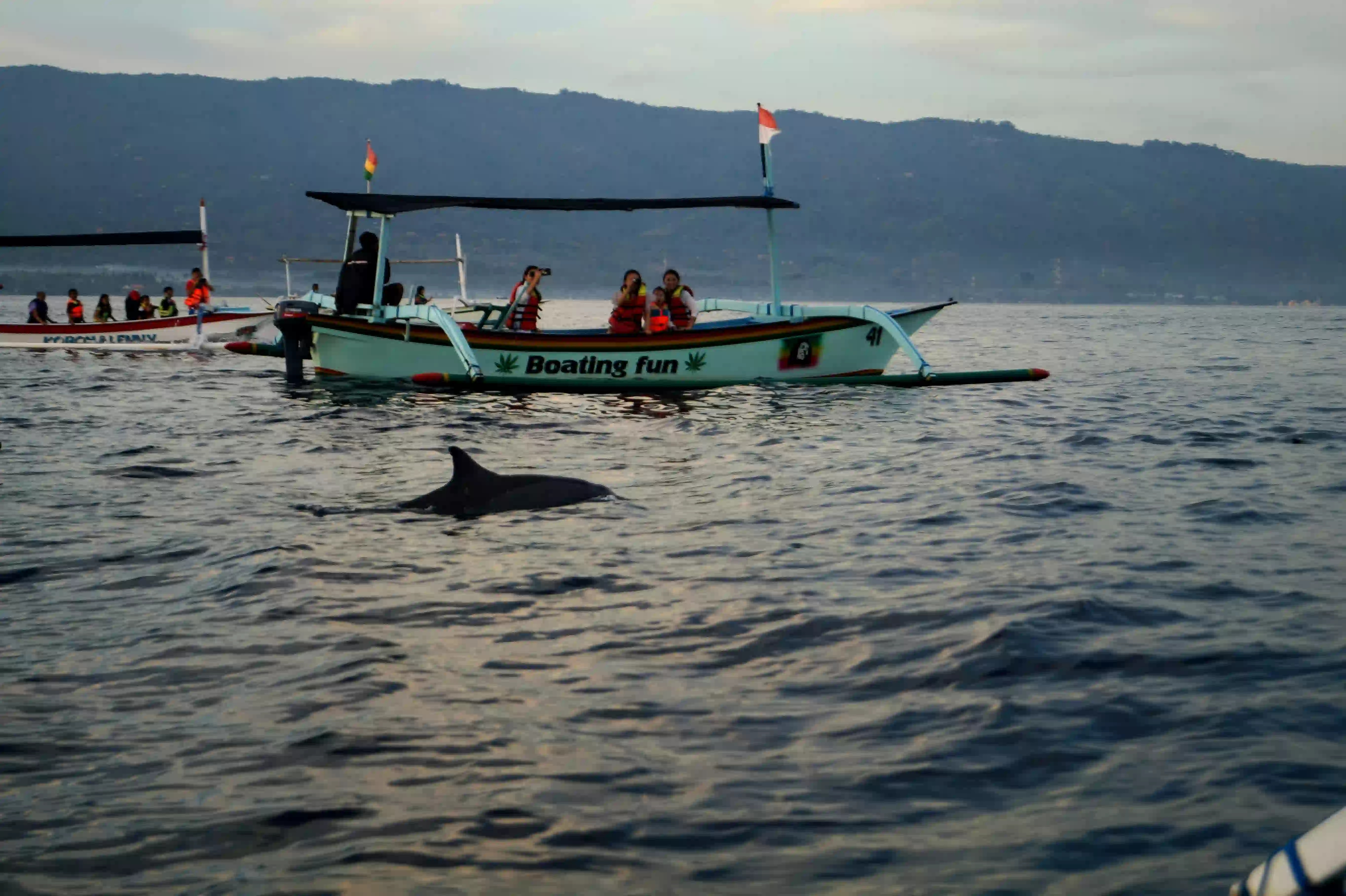 Dolphin & Sunrise tour in North Bali